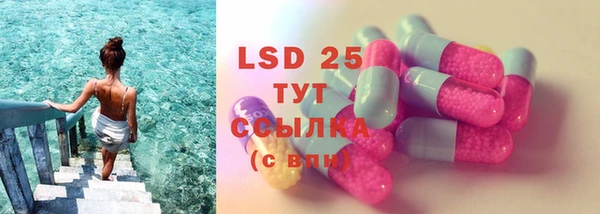 амф Богданович