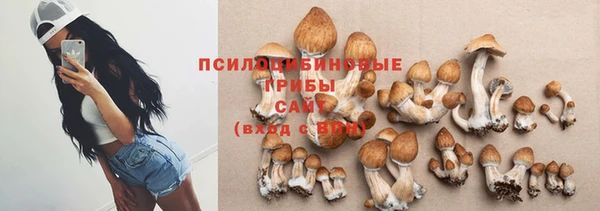 соль ск Богородицк