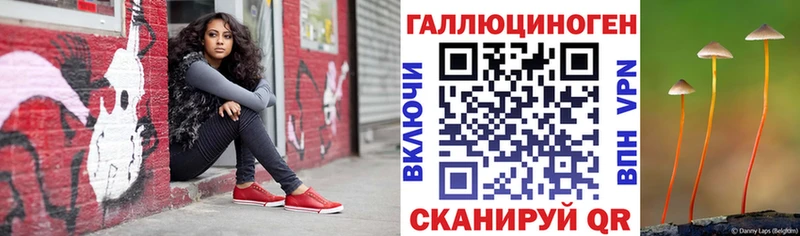 MEGA tor  Иркутск  Галлюциногенные грибы Psilocybine cubensis 